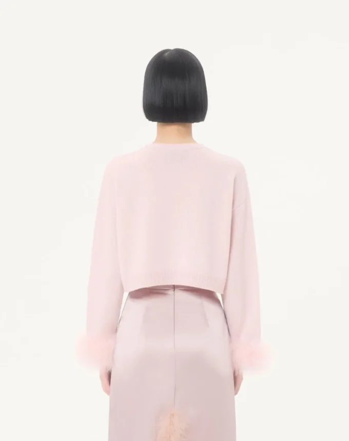 Pull en cachemire avec plumes Pull en cachemire avec plumes