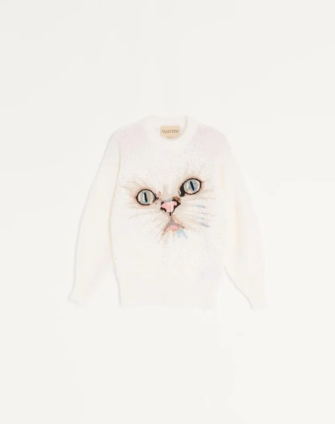 Pull en laine mohair brodé