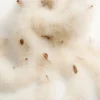 Valentino Écharpe en plumes avec plumes de dinde et de faisan